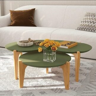 CONJUTO DE MESA DE CENTRO FLORIDA PÈS EM MADEIRAS COR VERDE  FLORESTA/ FREJO